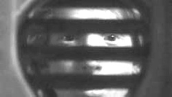 El papel de las mujeres